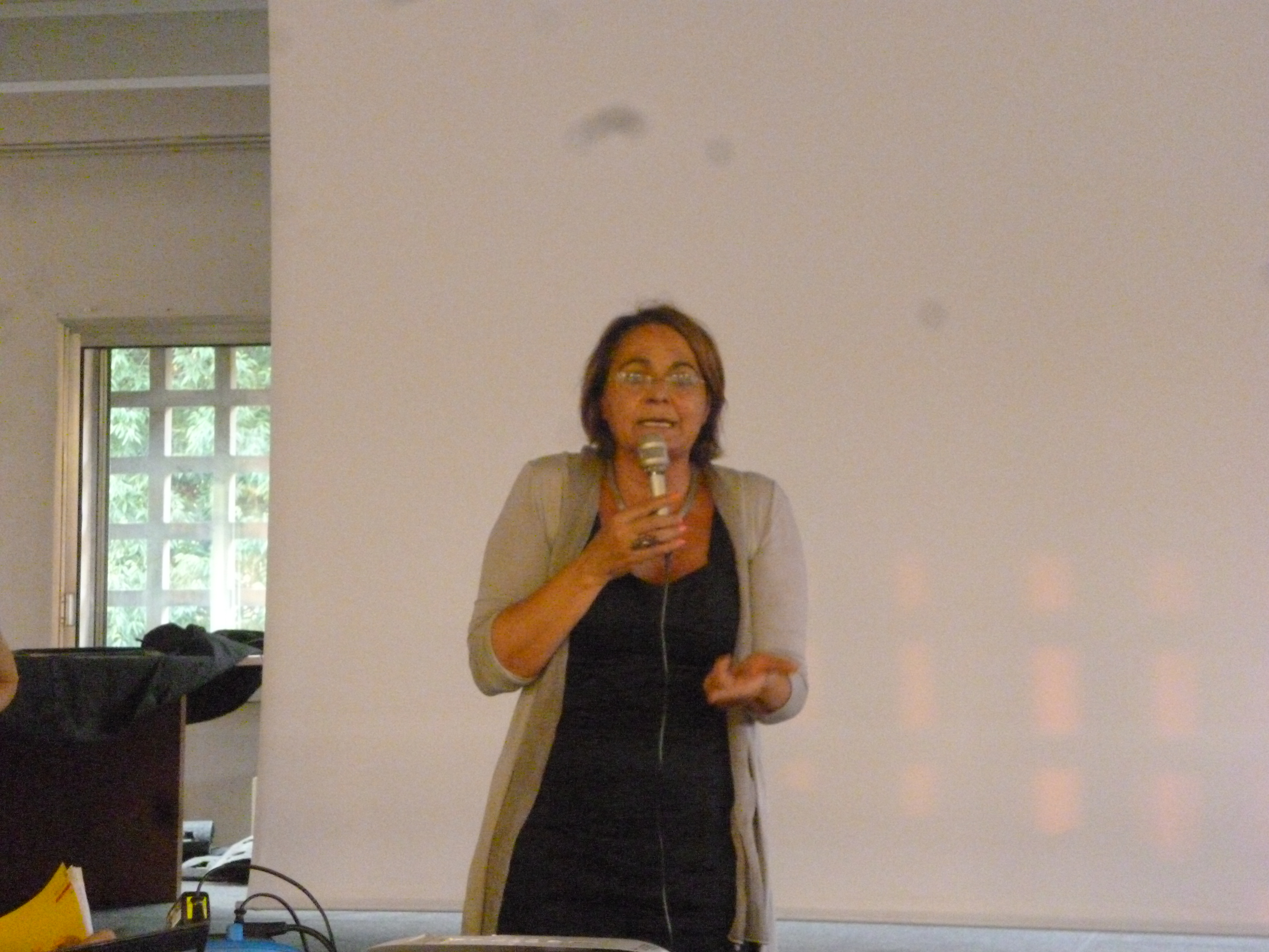 intervento assessore Rozza