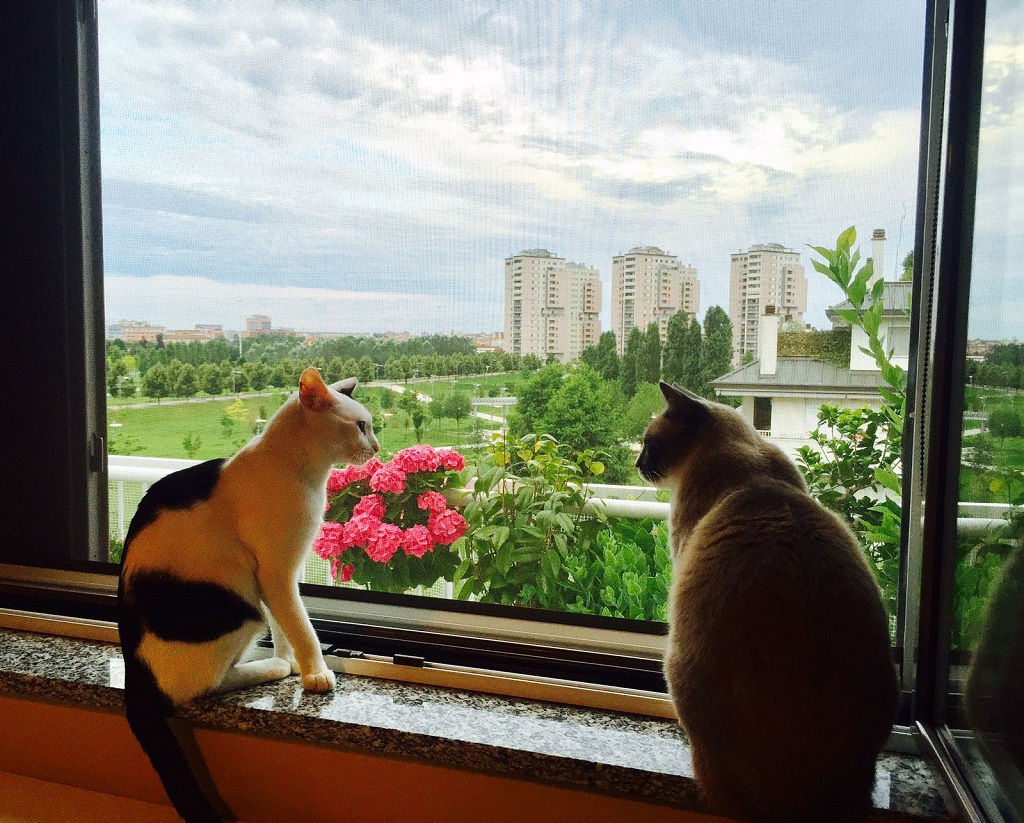 12 - una finestra sul parco