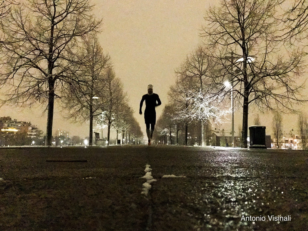 40 - L'ineguagliabile simmetria del Parco Certosa