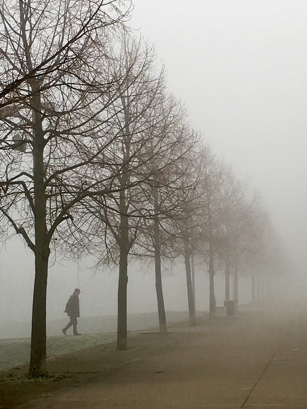 1 - 31 - Jennivine Paraiso - il percorso