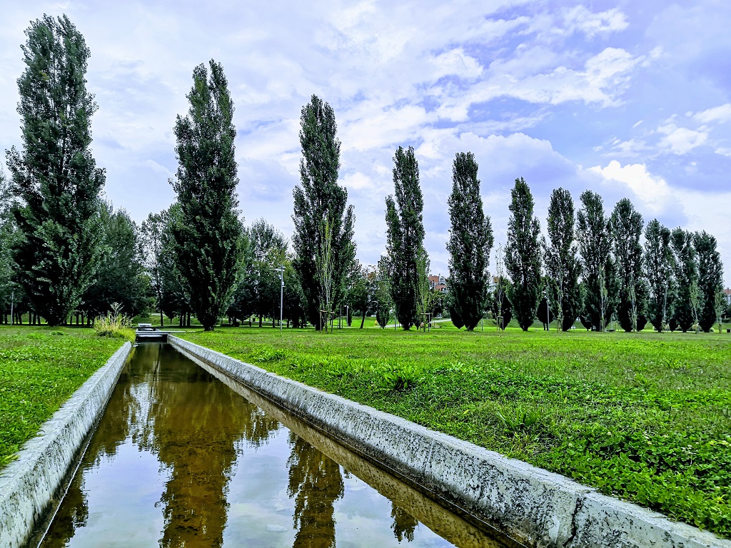 3 - 34 - Mirco Posa - prospettiva di alberi con corso d'acqua
